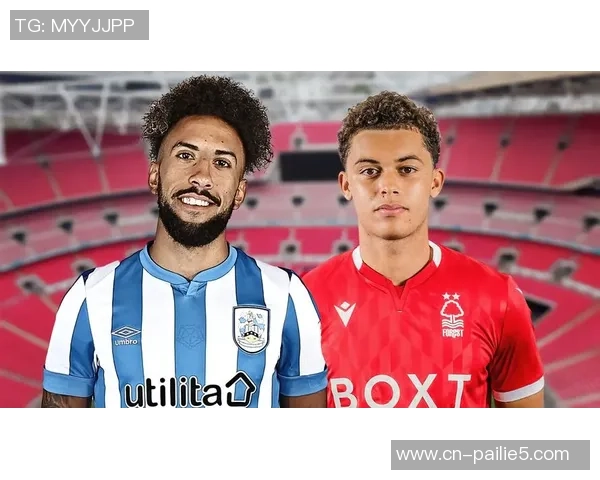 切菲尔德与布拉德福德的激烈对决展现英冠球队的实力与魅力 切菲尔德与布拉德福德的激烈对决展现英冠球队的实力与魅力